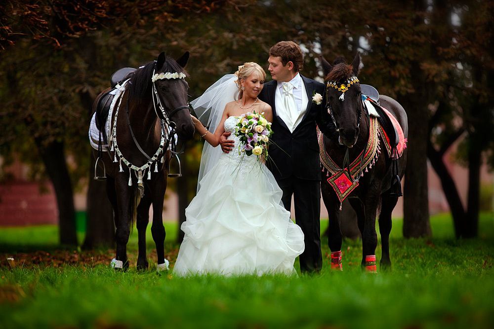 Фото свадебного фотографа Евгения Залужного